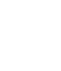 icsi Logo